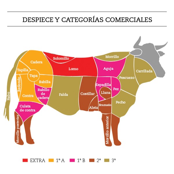 Despiece y categorías comerciales de la carne de vacuno. Foto procedente de: https://www.ocu.org/alimentacion/carnes-pescados/informe/como-comprar-la-mejor-carne-de-vacuno.